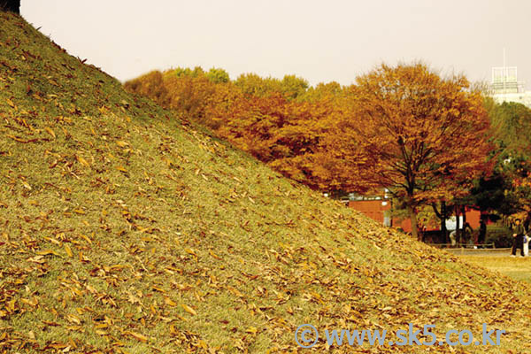 잔디밭