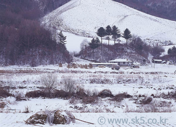 설경