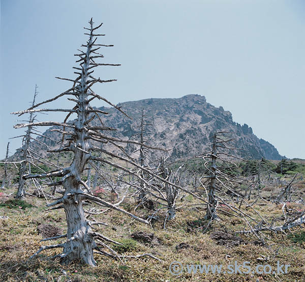 한라산