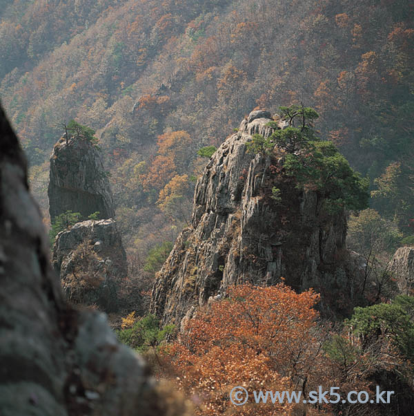 대둔산