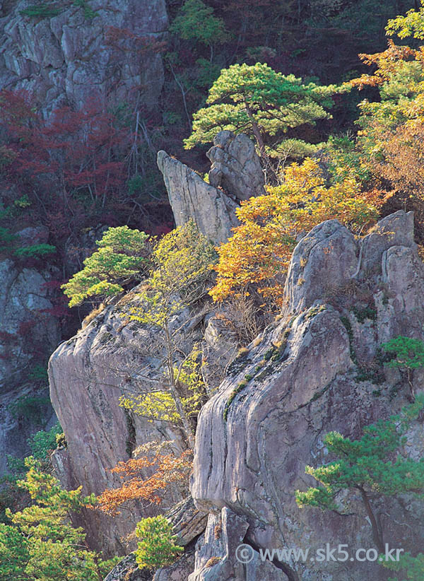 대둔산