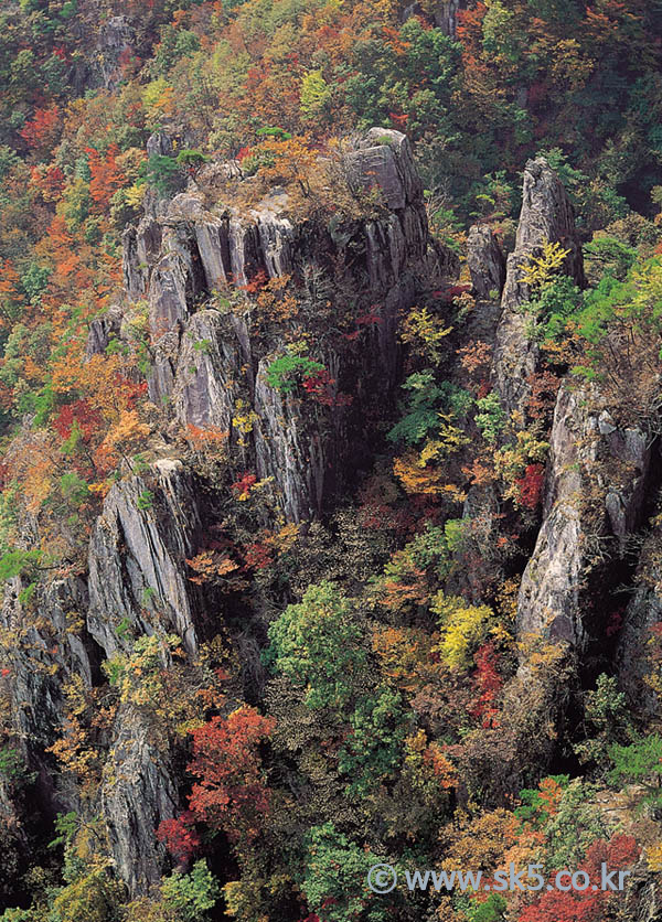 대둔산