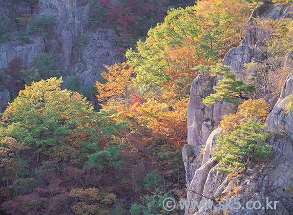 대둔산