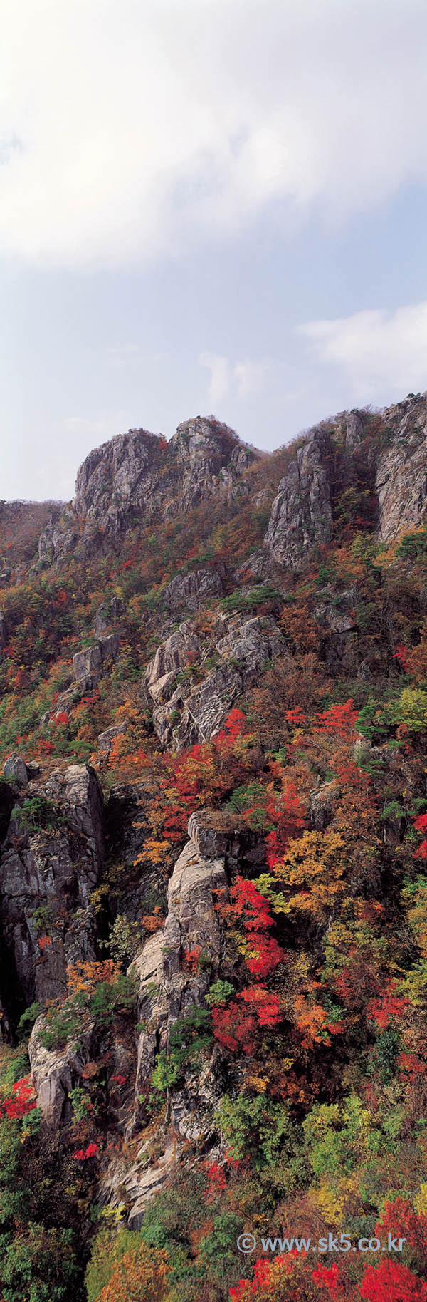 산