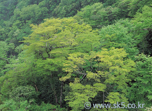 공원