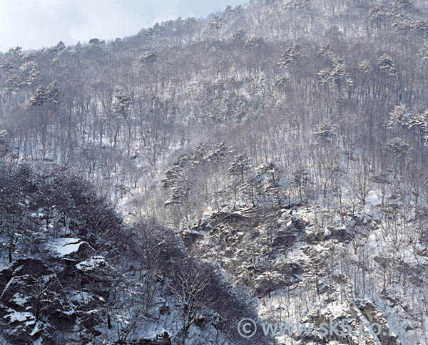 겨울